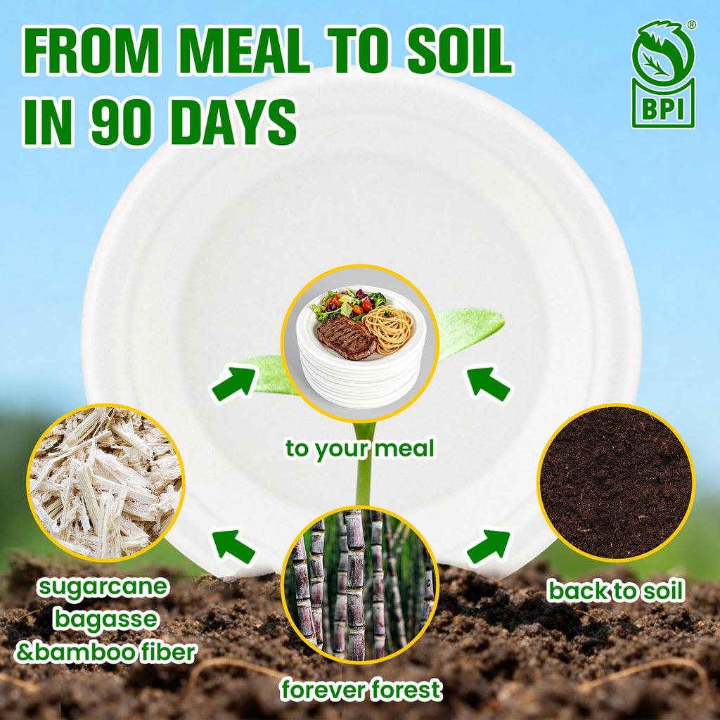 300 Pack Small Paper Plates 6 Inch, 100% Compostable Heavy Duty Dessert Plates, Unbleached Biodegradable Disposable Plate Made from Bagasse and Bamboo Fiber, for Party, Picnic & Daily Use-White